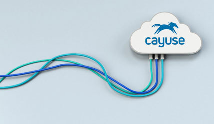 Image of the Cayuse logo in a cloud with computer cords