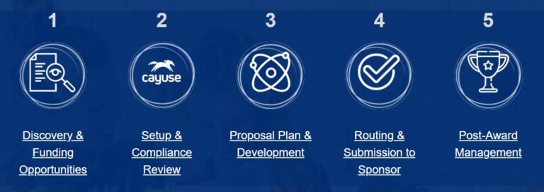 illustration of the 5 step grant process